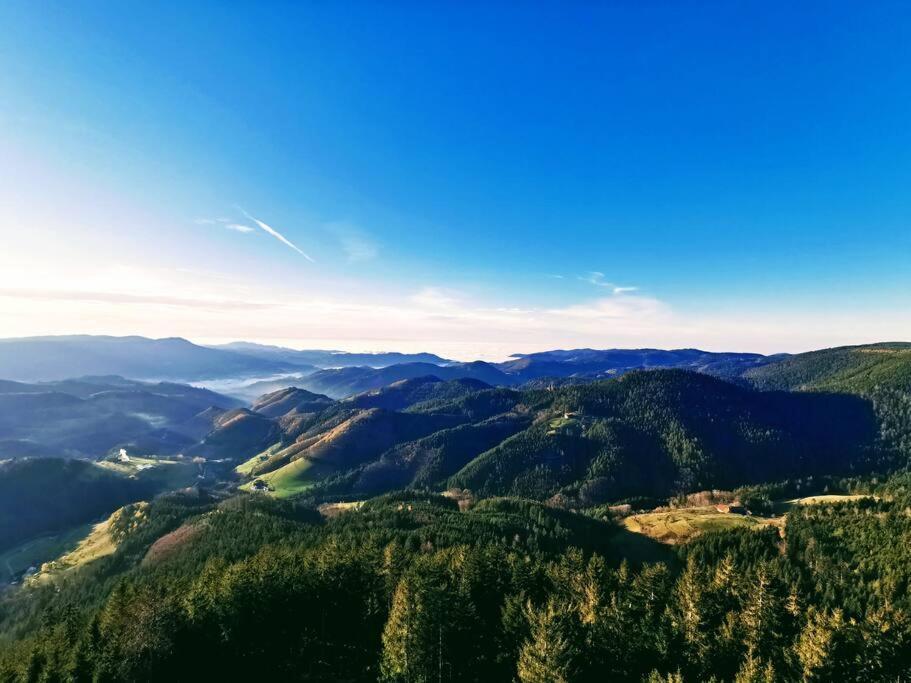 Traumhafte Maisonette-Wohnung Im Schwarzwald Фройденщат Екстериор снимка