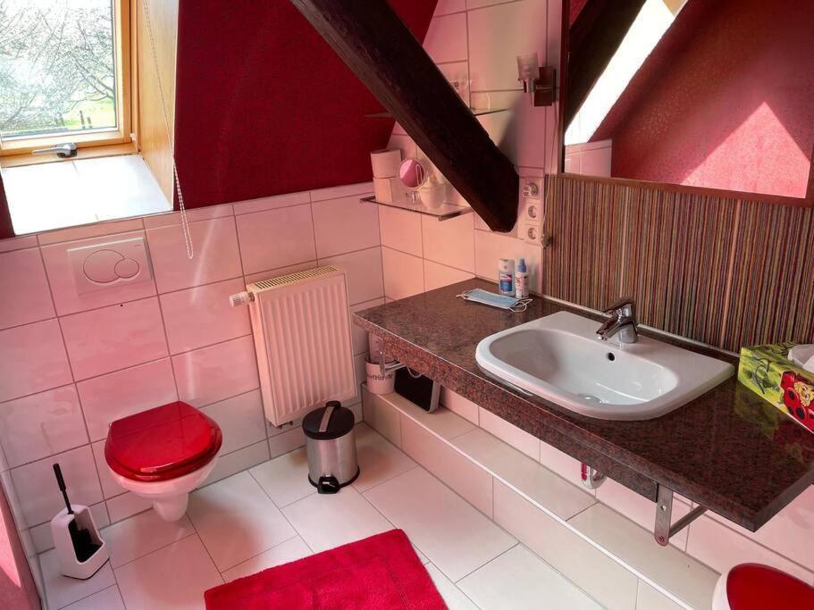 Traumhafte Maisonette-Wohnung Im Schwarzwald Фройденщат Екстериор снимка