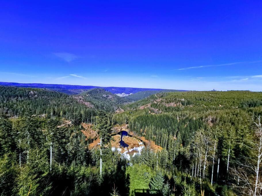 Traumhafte Maisonette-Wohnung Im Schwarzwald Фройденщат Екстериор снимка