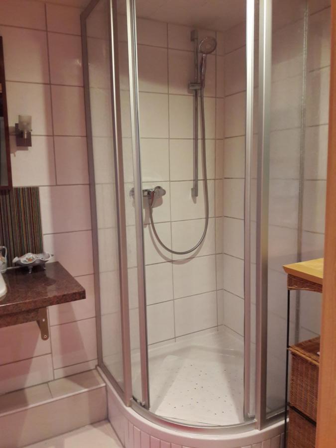 Traumhafte Maisonette-Wohnung Im Schwarzwald Фройденщат Екстериор снимка